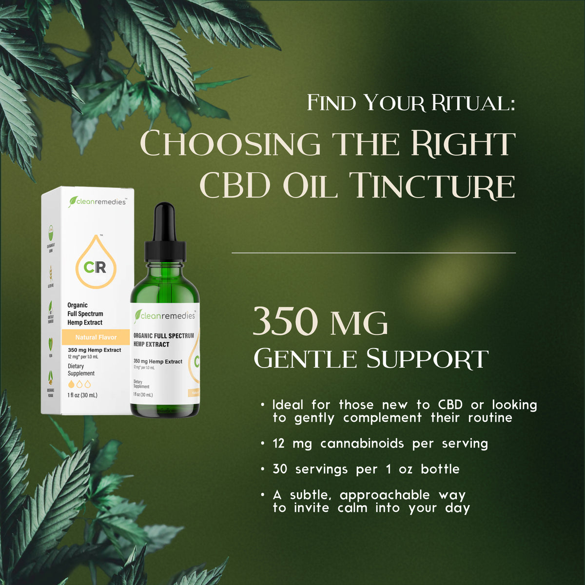 Full Spectrum CBD Tincture 350mg – Clean Remedies