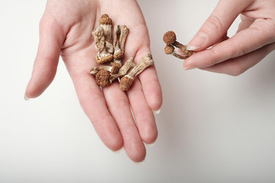 Are Psychedelic Mushrooms Addictive?