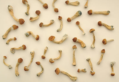 Are Magic Mushrooms Legal In Ohio?