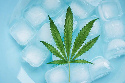 Can You Freeze CBD Oil?