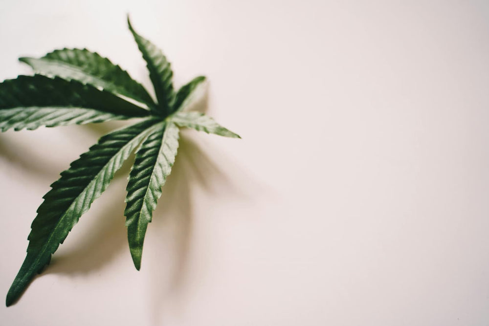 How Much Cbd Is Too Much