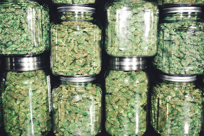 Operating A Dispensary In Ohio: A Comprehensive Guide