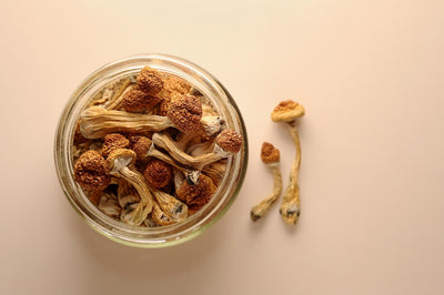 How To Store Psychedelic Mushrooms For Maximum Shelf Life