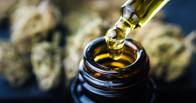 Is CBD Oil Legal In Ohio?