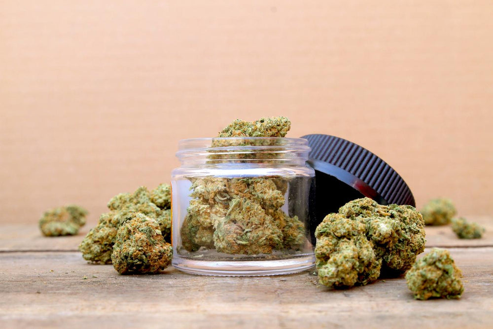 What Is Hybrid Weed