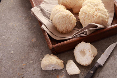 What Does Lion’s Mane Do for Your Body?