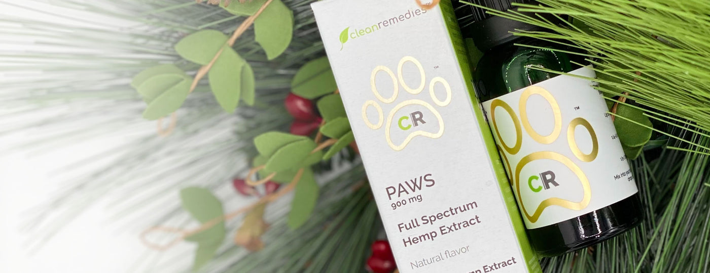 CBD Gifts for Pets