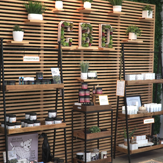 CBD  spelled with greenery on the store wall